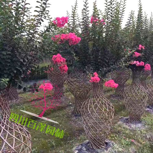 造型花瓶類